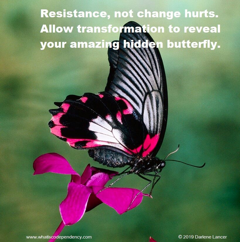 transformation, butterfly