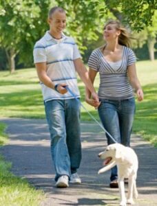 sobriety marriage pet caused injuries dog walking couple injury