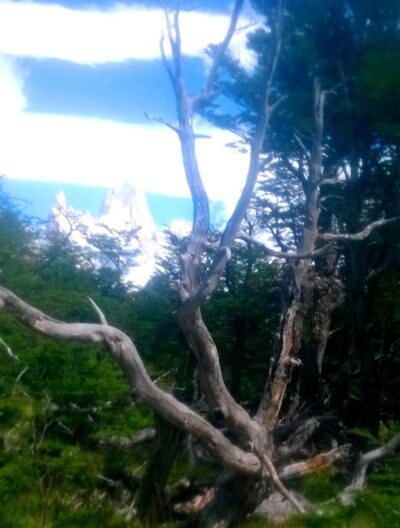 Vieq of Fitz Roy from trail