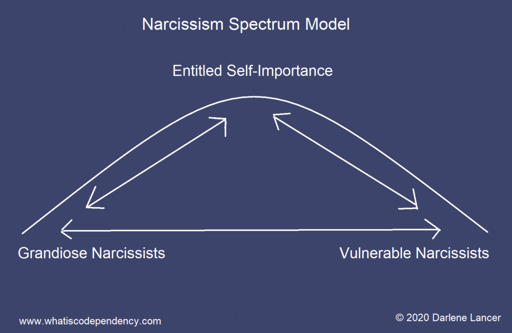 4 Types of Narcissism Share a Core Trait | What Is Codependency?