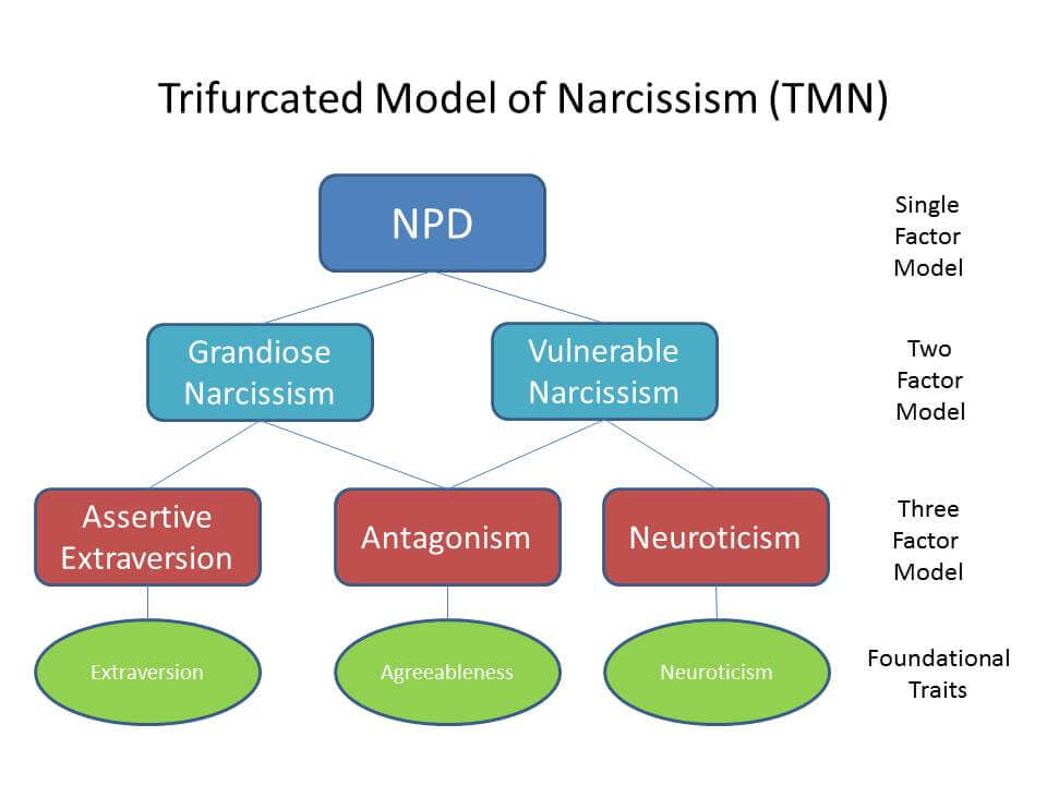 Trifurcated Model of Narcissism